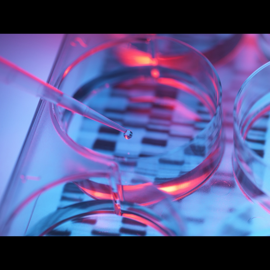 [0556-MBC033-R] Amplirun® Listeria Monocytogenes DNA Control size: 10,000size:20,000 c/µL