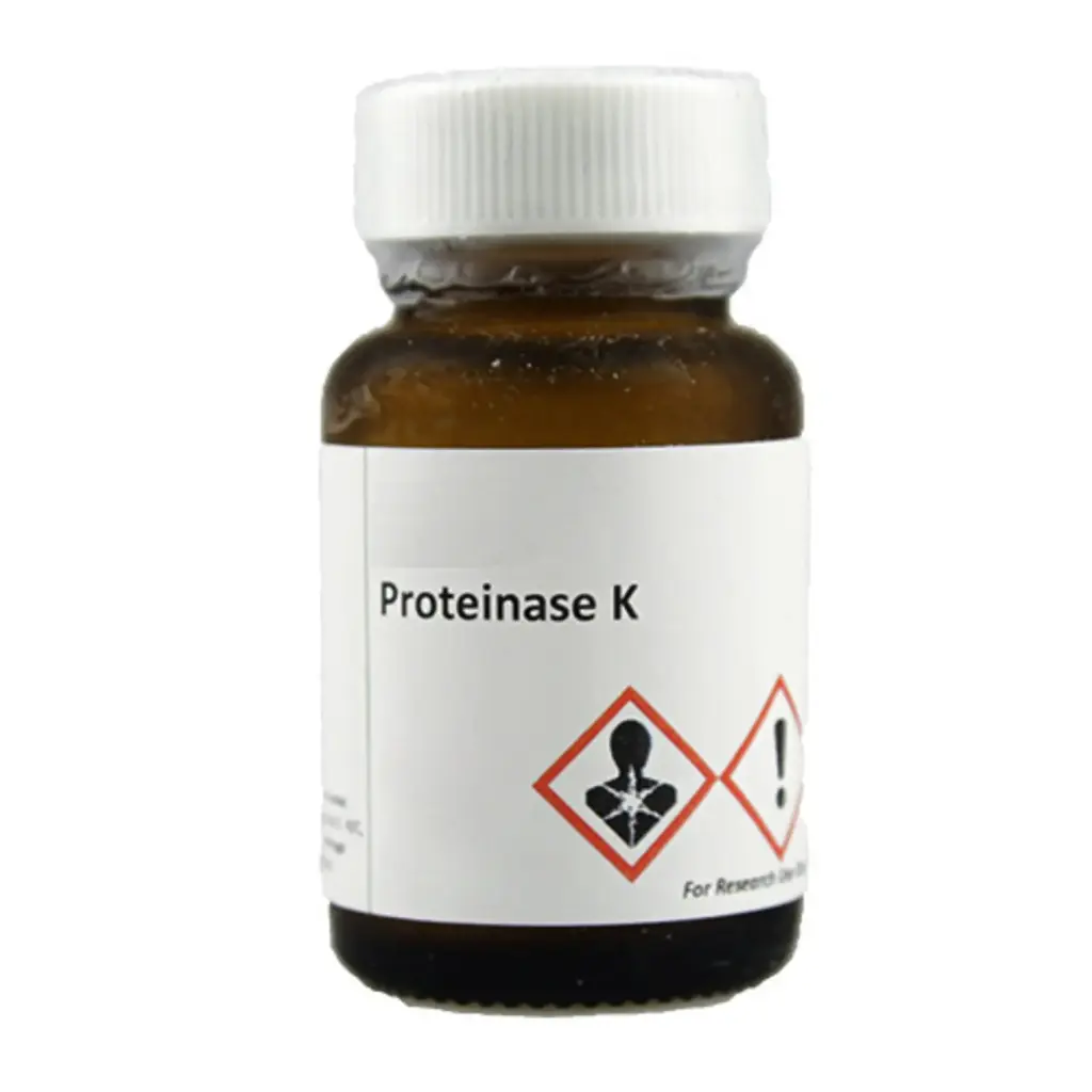 [SPK111-1] Proteinase K Powder (1 g)