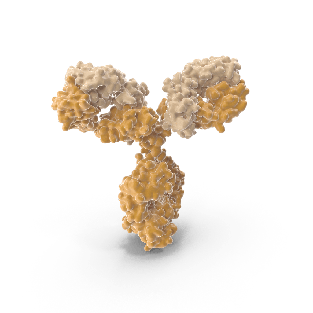 THC antibody